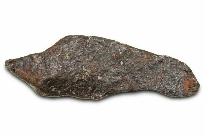 Canyon Diablo Iron Meteorite ( g) - Arizona #381974